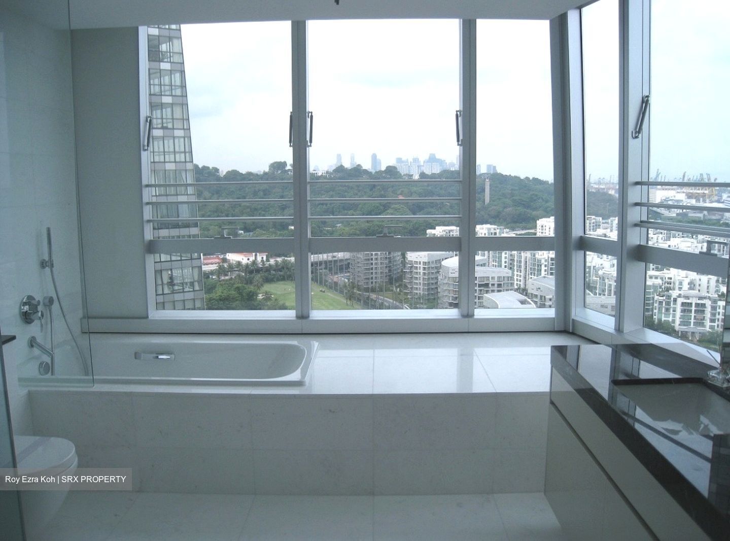 Reflections At Keppel Bay (D4), Condominium #595823251